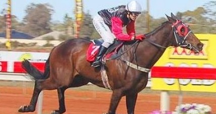 Another winner for Allen Mac